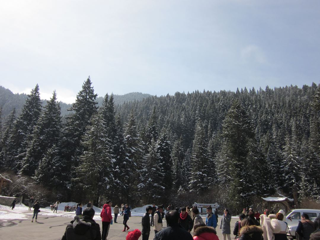 大山 路上D5-2.jpg